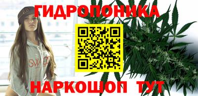 прущие крисы Коммунар