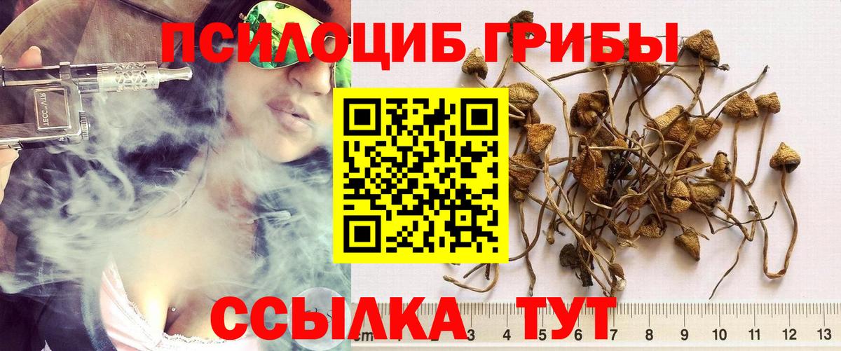 Клинцы  Галлюциногенные грибы мицелий  Вход с VPN 